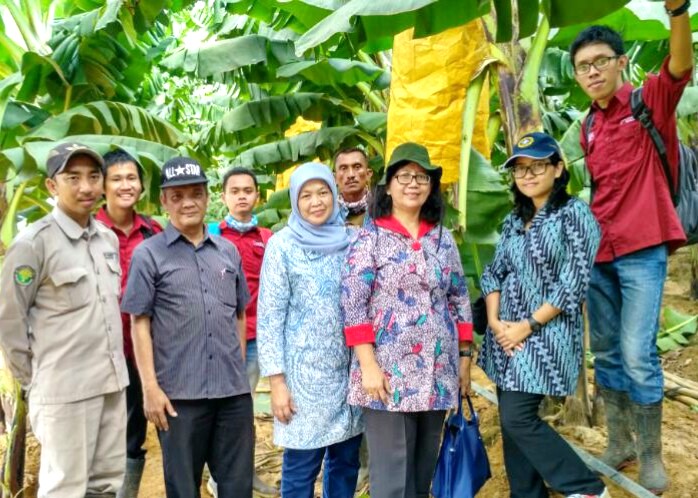 Rombongan Dosen AGH Supervisi Mahasiswa Magang di PT Great Giant Pineaple Company, Lampung
