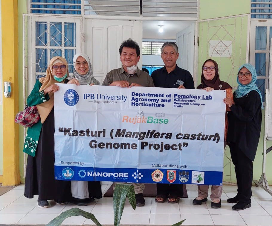Teliti Mangga kasturi, endemik Kalimantan Selatan, penelti IPB bentuk konsorsium riset bersama Universitas Lambung Mangkurat dan Kebun Raya Banua