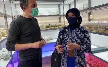 SWA_Erasmus USC article-AGH