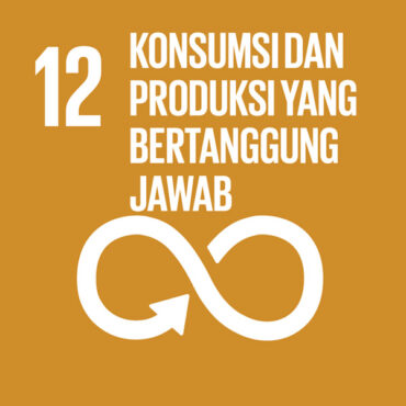 logo-sdgs-12