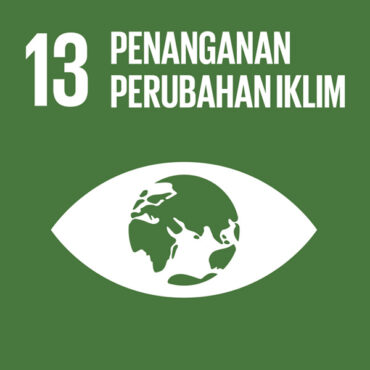 logo-sdgs-13