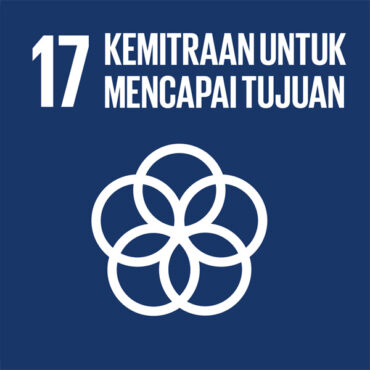 logo-sdgs-17