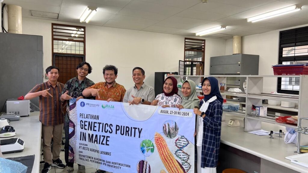 Departemen Agronomi dan Hortikultura selenggarakan Pelatihan Genetics Purity in Maize