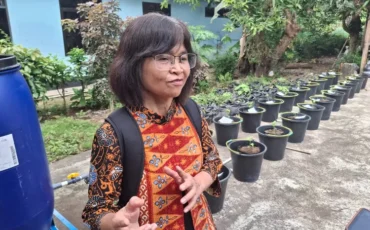 15gdosen-pwr-fid-256992303